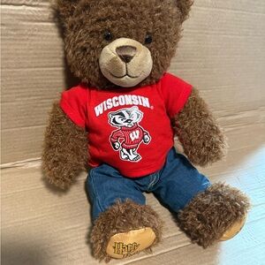 Harry Potter Wisconsin Badgers Teddy Bear by Build a Bear